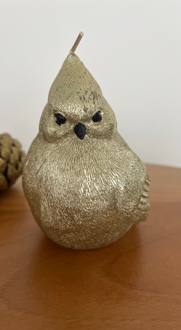 Parlak Altın Kuş ve Kozalak Mum Seti - Görsel 2