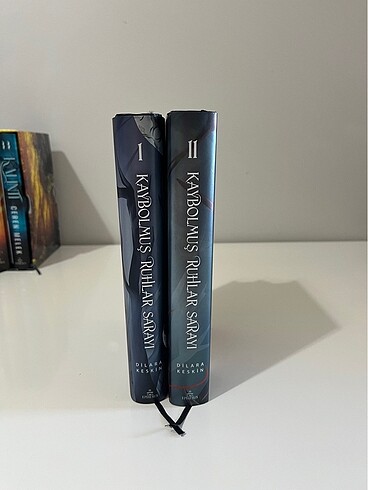Kaybolmuş ruhlar sarayı kitap