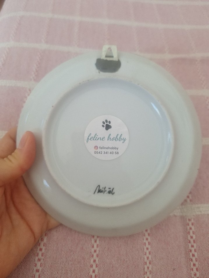 Kırmızı Kedi Desenli Kedi Aksesuarı - Görsel 5