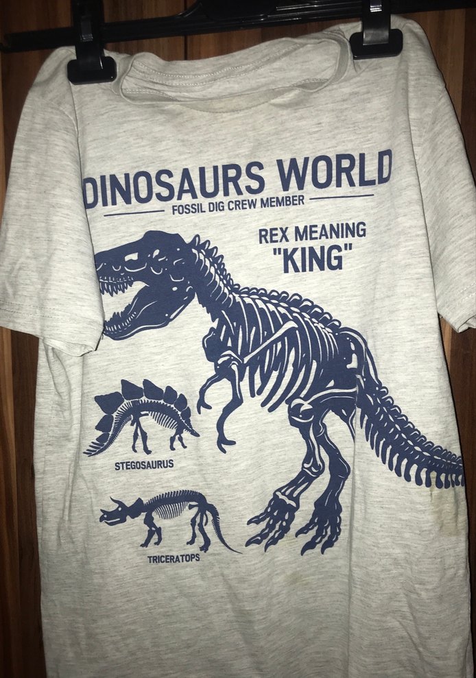 Gri Erkek Çocuk Kısa Kollu Dinazor Baskılı Tişört - Görsel 2