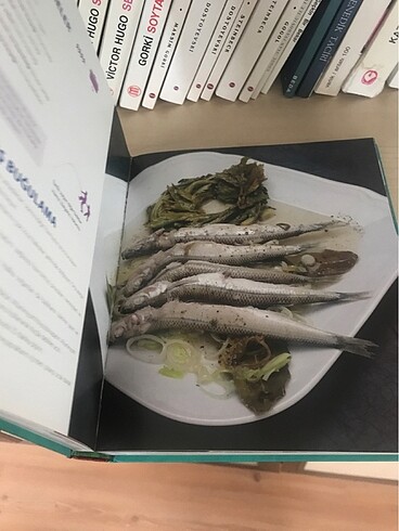 Beden Kılçıksız balık kitap