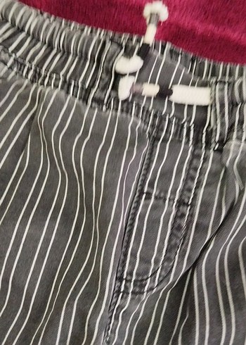 Gri Zebra Desenli Erkek Şort - Görsel 2