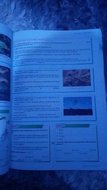  Biyoloji test kitabı ayt