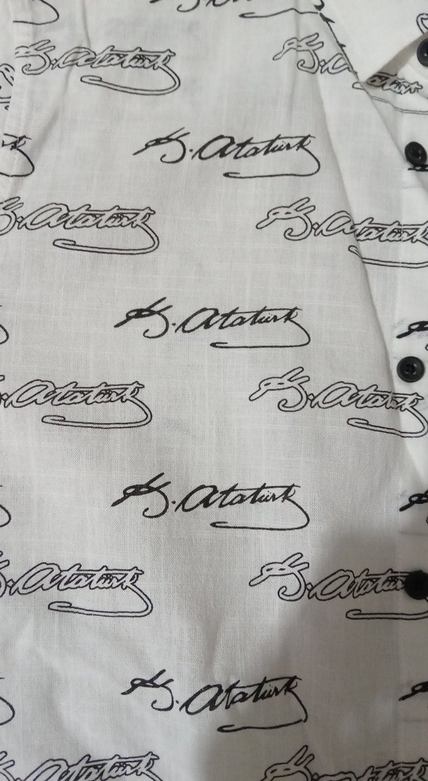 Erkek Çocuk Kısa Kollu Baskılı Gömlek - Görsel 2