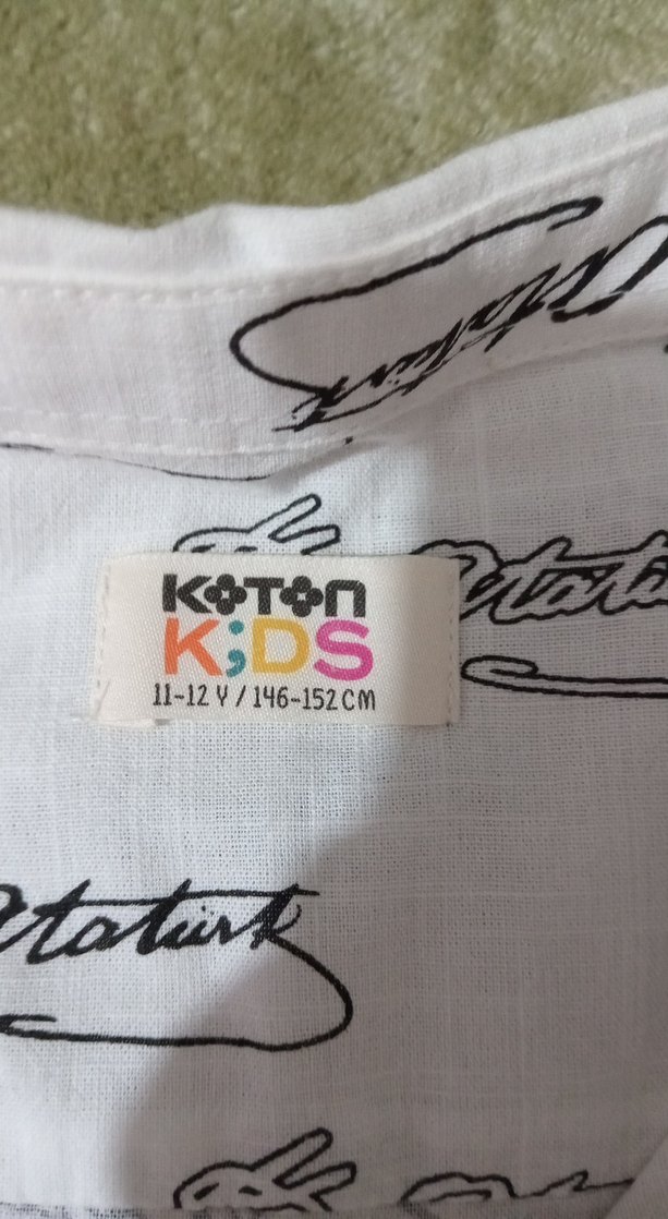 Erkek Çocuk Kısa Kollu Baskılı Gömlek - Görsel 3