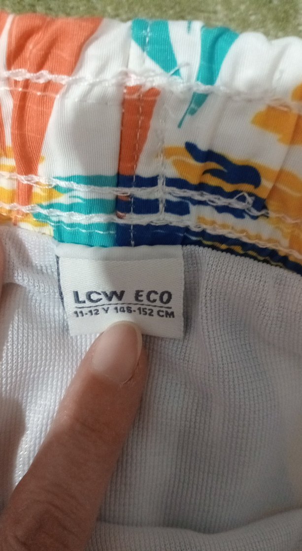 Çok Renkli Erkek Çocuk Deniz Şortu - Görsel 2