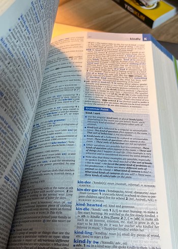 Oxford Advanced Learner's Dictionary 8. Baskı - Görsel 3