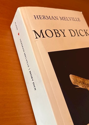 Moby Dick - Herman Melville - Görsel 6