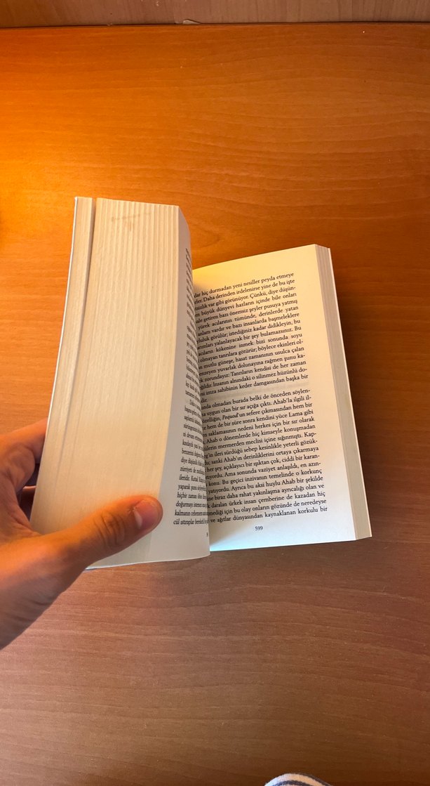 Moby Dick - Herman Melville - Görsel 5