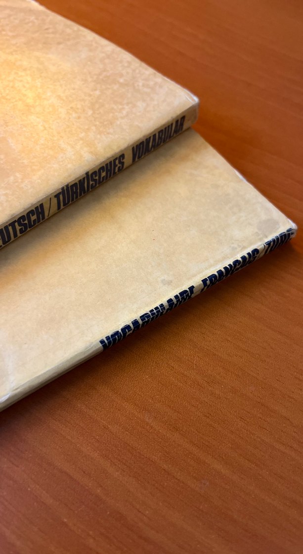 Almanca ve Fransızca-Türkçe Sözlük Seti - Görsel 2