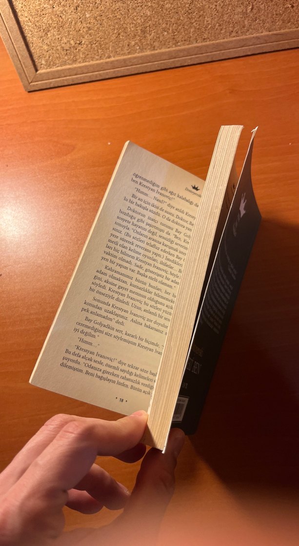 Dostoyevski - Öteki Ben Romanı - Görsel 3