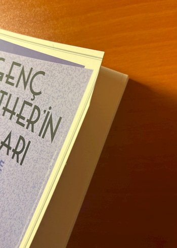 Genç Werther'in Acıları - Goethe - Görsel 4