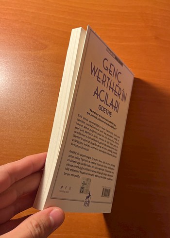 Genç Werther'in Acıları - Goethe - Görsel 3