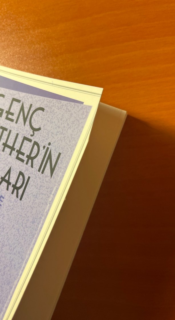 Genç Werther'in Acıları - Goethe - Görsel 4