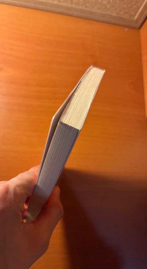 Bella'nın Ölümü - Georges Simenon - Görsel 4