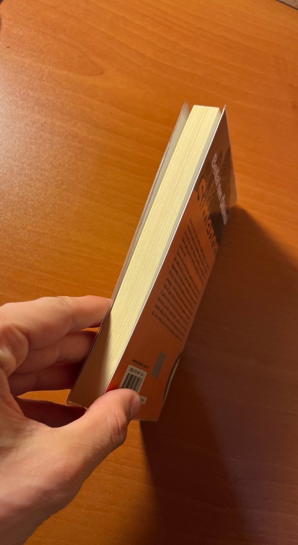 Bella'nın Ölümü - Georges Simenon - Görsel 3