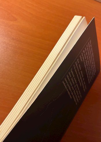 Kürk Mantolu Madonna - Sabahattin Ali - Görsel 3