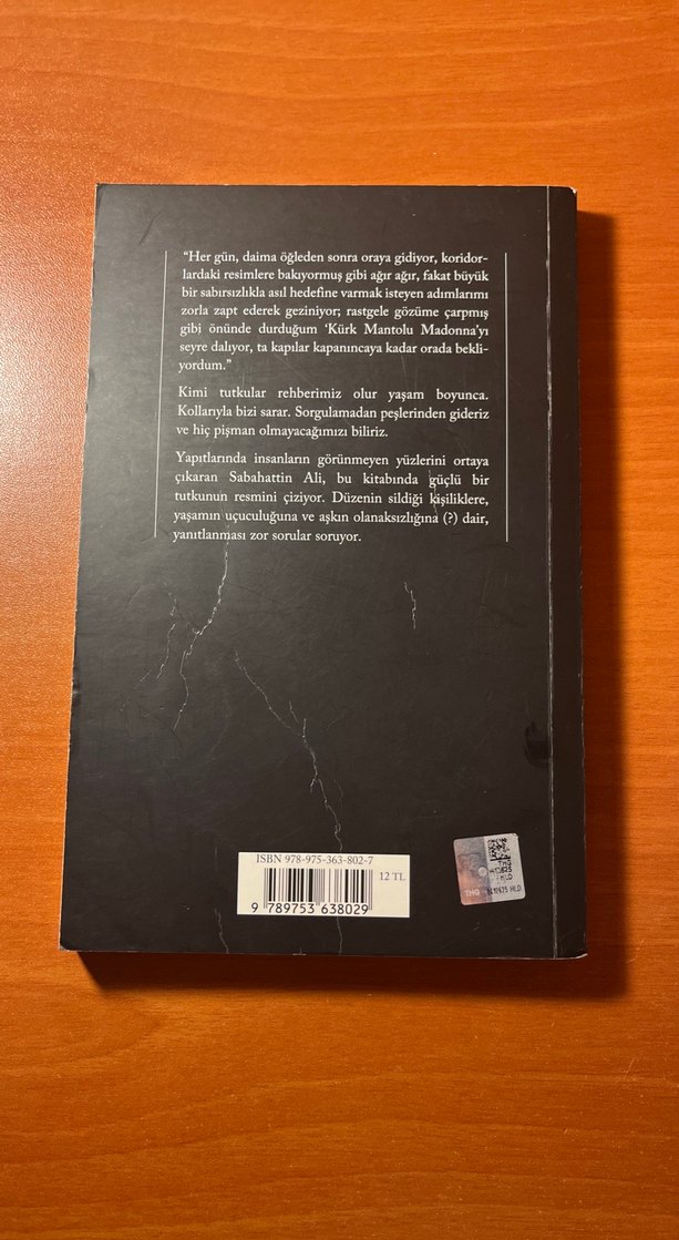 Kürk Mantolu Madonna - Sabahattin Ali - Görsel 2