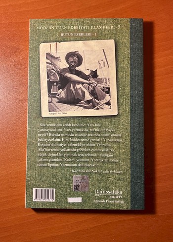 Son Kuşlar - Sait Faik Abasıyanık - Görsel 2