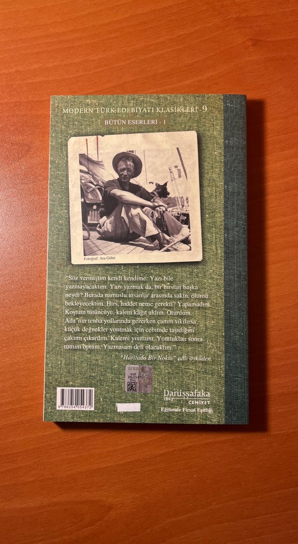 Son Kuşlar - Sait Faik Abasıyanık - Görsel 2