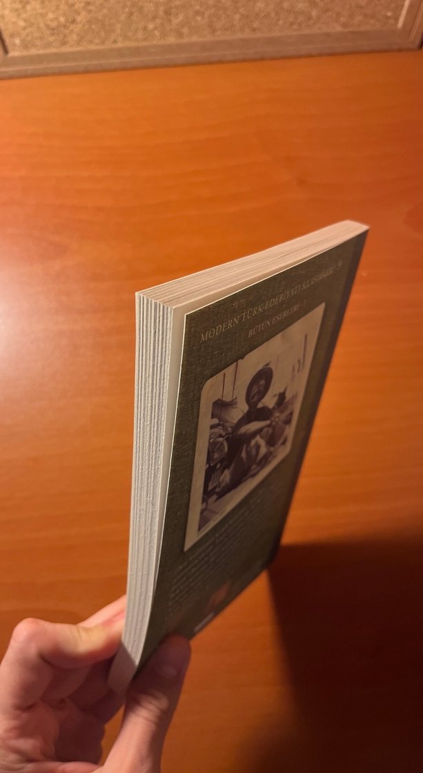 Son Kuşlar - Sait Faik Abasıyanık - Görsel 4