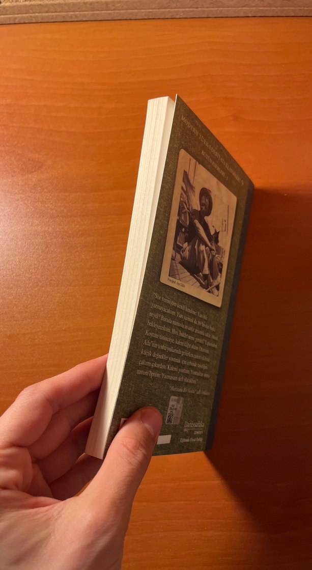 Son Kuşlar - Sait Faik Abasıyanık - Görsel 3