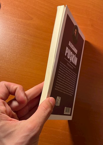 Aleksandr Puşkin - Yüzbaşının Kızı - Görsel 3