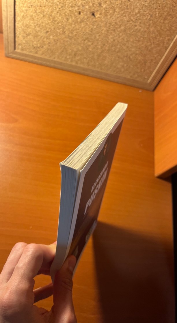 Aleksandr Puşkin - Yüzbaşının Kızı - Görsel 4