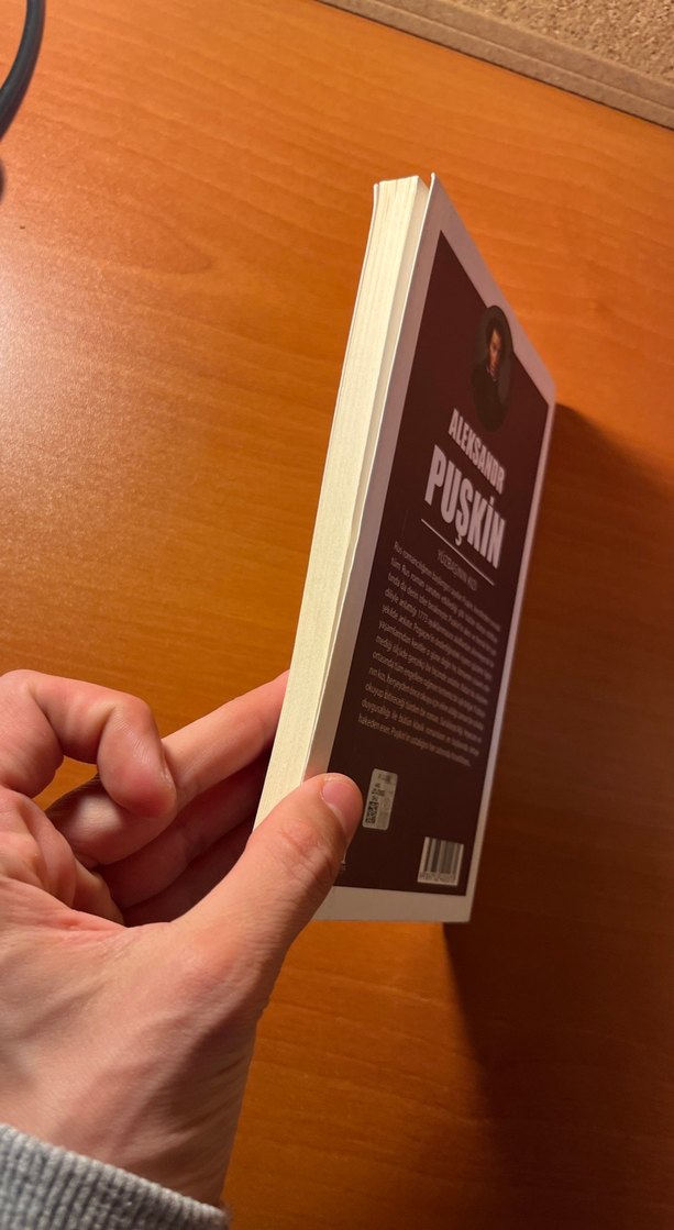 Aleksandr Puşkin - Yüzbaşının Kızı - Görsel 3