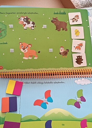 Diğer Cırtlı kitap 