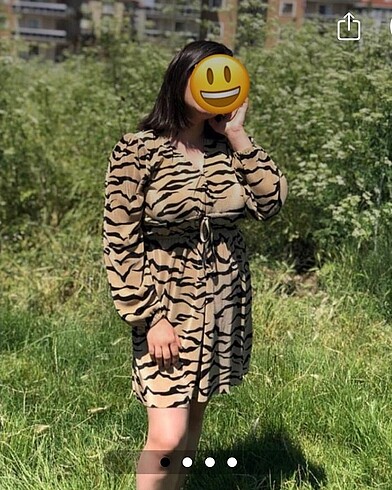 Zara zebra desenli elbise