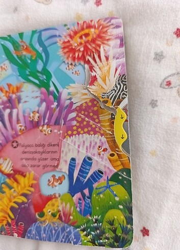 Deniz Canlıları  - Görsel 3