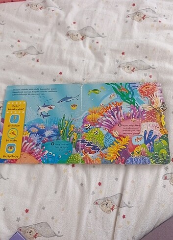 Deniz Canlıları  - Görsel 4