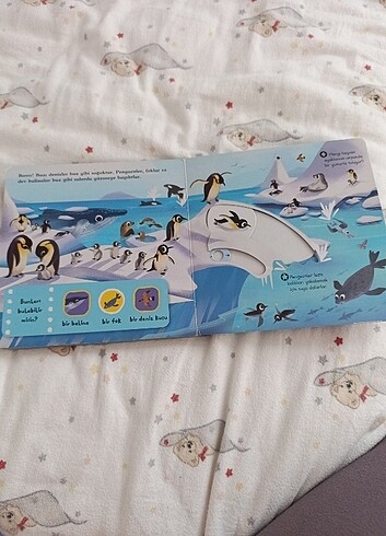 Deniz Canlıları  - Görsel 5