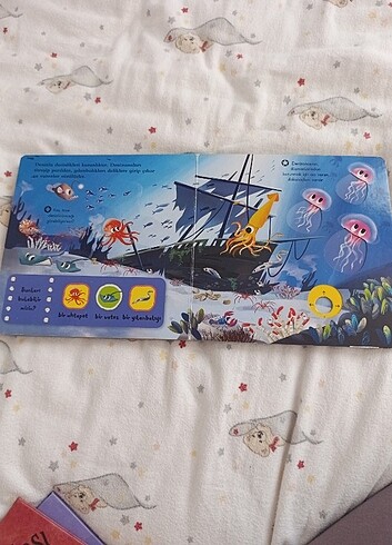 Deniz Canlıları  - Görsel 6