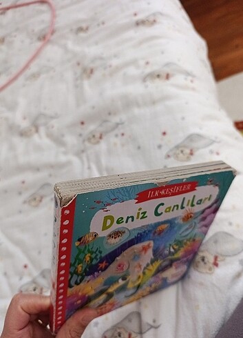 Deniz Canlıları  - Görsel 7