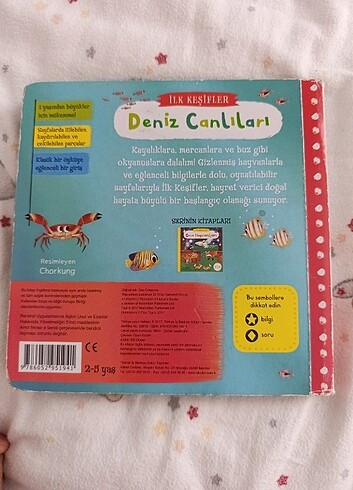 Deniz Canlıları  - Görsel 8