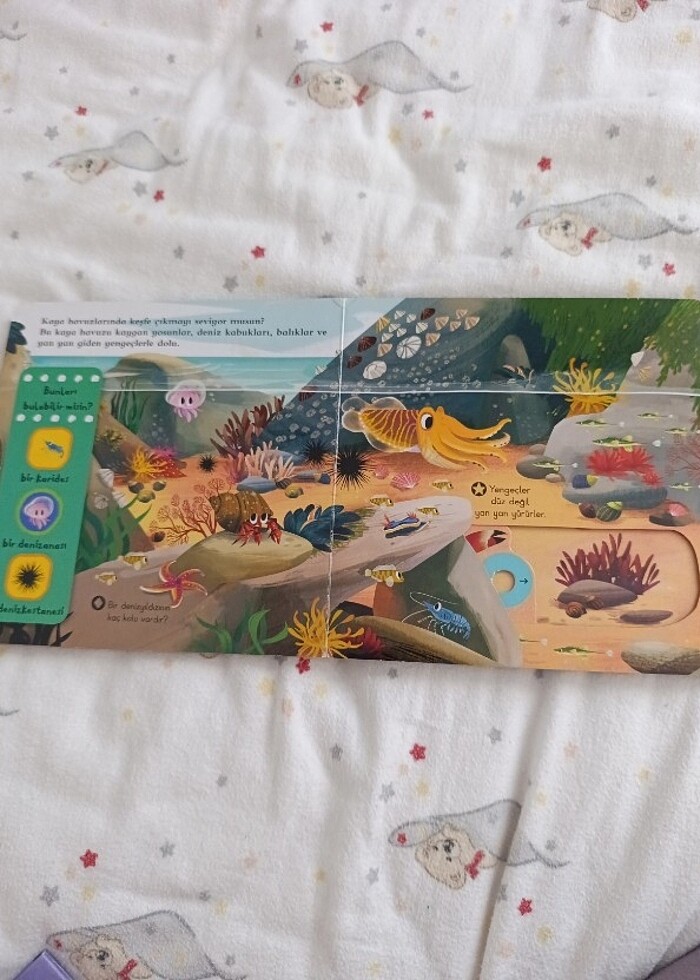 Deniz Canlıları  - Görsel 2