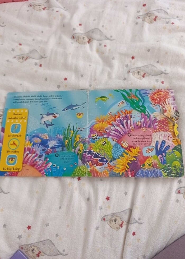 Deniz Canlıları  - Görsel 4