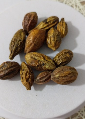 sarı helile - Görsel 2