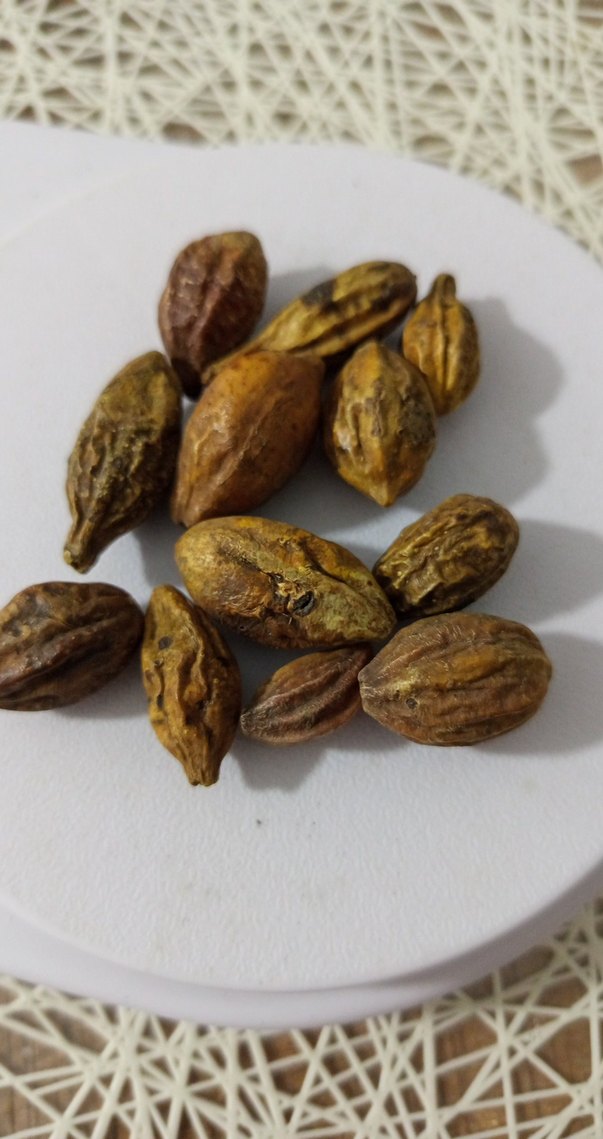 sarı helile - Görsel 2