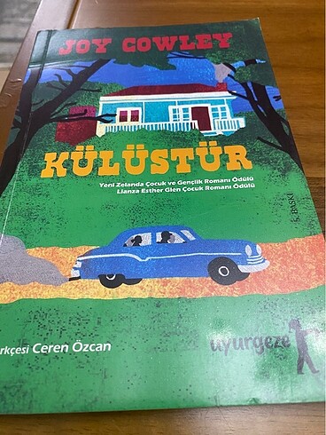 Külüstür joy cowley