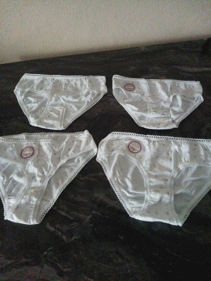 4 adet kız çocuk iç çamaşırı - Görsel 2