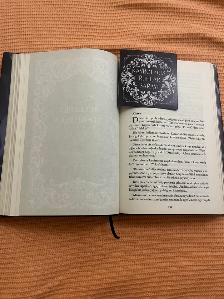 Kaybolmuş Ruhlar Sarayı 1 - Görsel 3