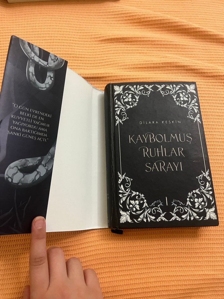 Kaybolmuş Ruhlar Sarayı 1 - Görsel 2