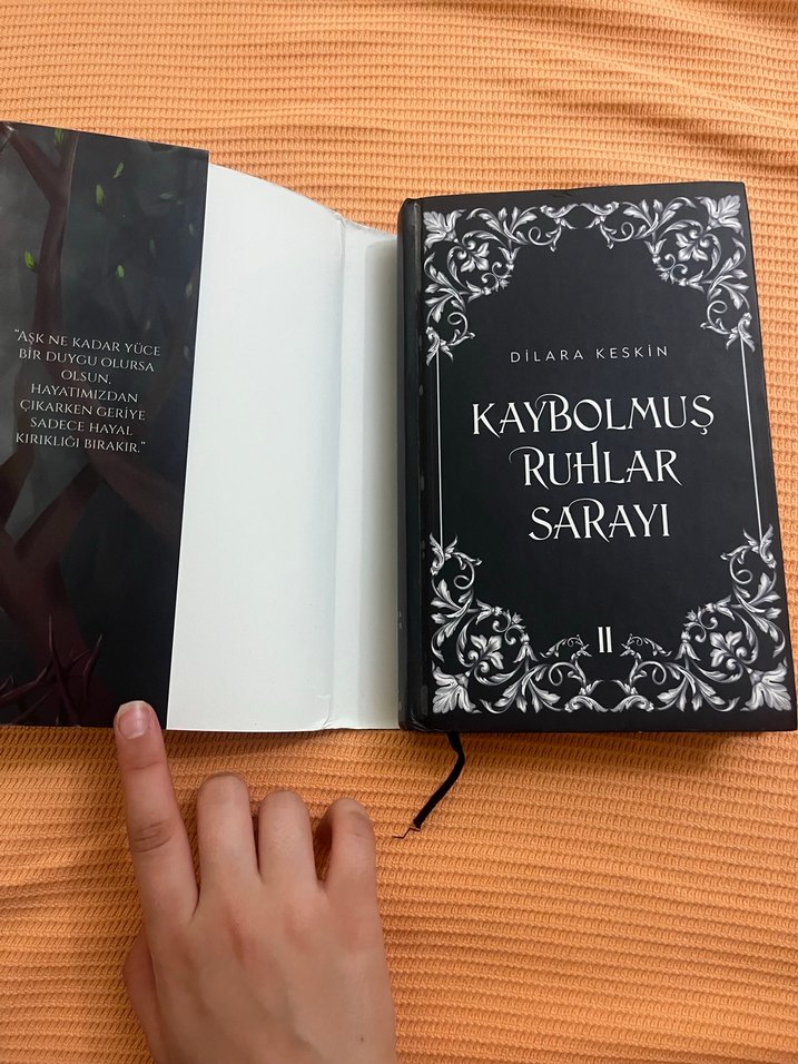 Kaybolmuş Ruhlar Sarayı 2 - Görsel 2