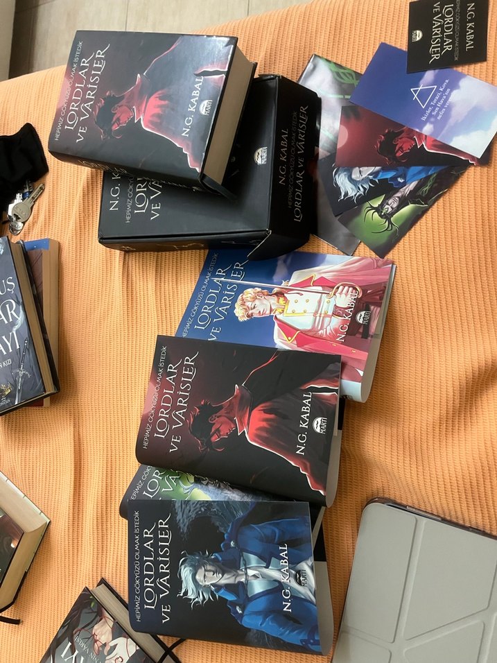 KUTULU SERİ Lordlar ve Varisler - Görsel 2