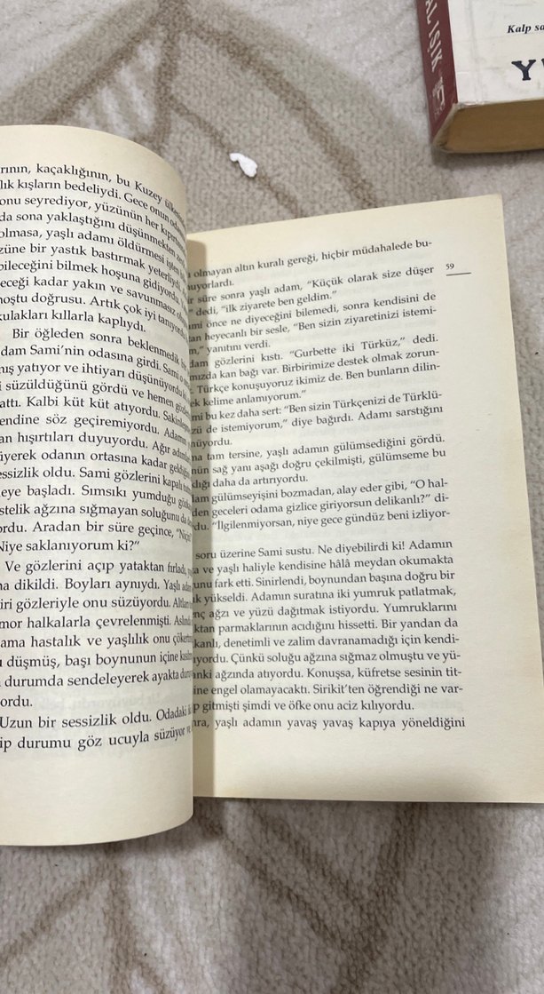 Livaneli - Bir Kedi, Bir Adam, Bir Ölüm - Görsel 3