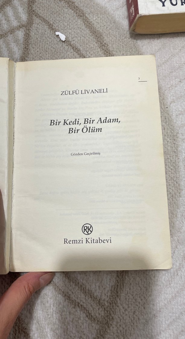 Livaneli - Bir Kedi, Bir Adam, Bir Ölüm - Görsel 4