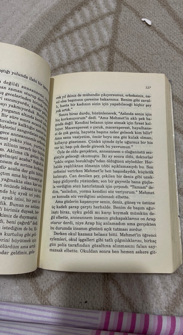 Zülfü Livaneli - Kardeşimin Hikayesi - Görsel 5